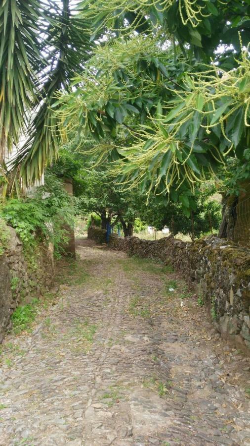 Casa Tita Casa di campagna *